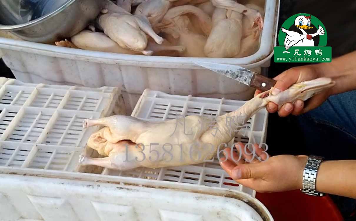 张英茶油鸭利润多少