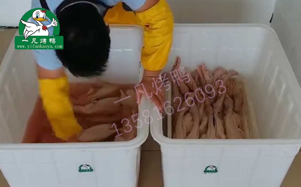 茶油鸭加盟费多少